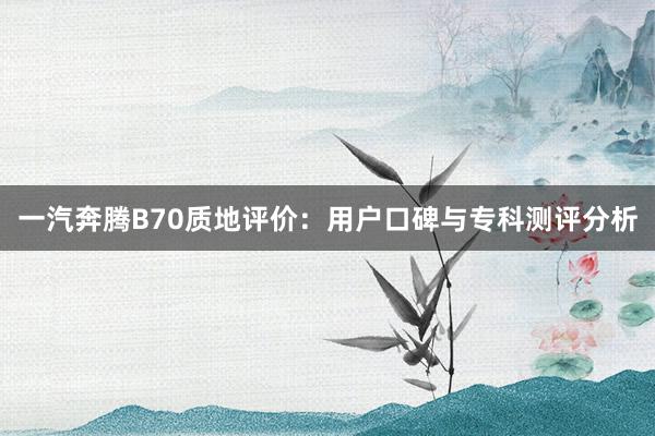 一汽奔腾B70质地评价：用户口碑与专科测评分析