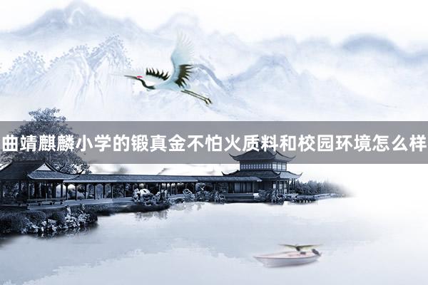 曲靖麒麟小学的锻真金不怕火质料和校园环境怎么样
